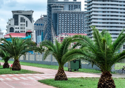 Embankment in Batumi with green palms and scyscrapers on the background, Georgia