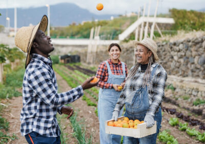 Multiracial people having fun with fresh orange fruit during harves period